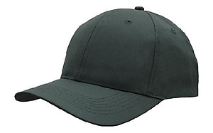 Budget 6 Panel Cotton Cap