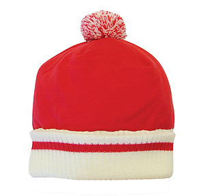 Pom Pom Beanie